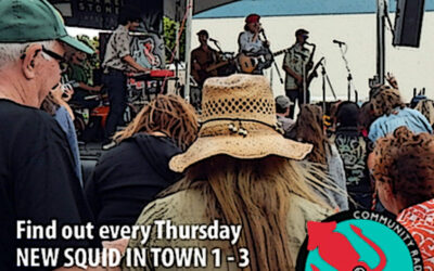 New Squid in Town: Thursdays 1-3