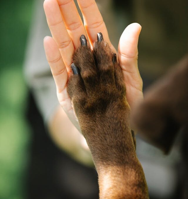 FirstPersonSingular: Olga Cossi – Out of this World