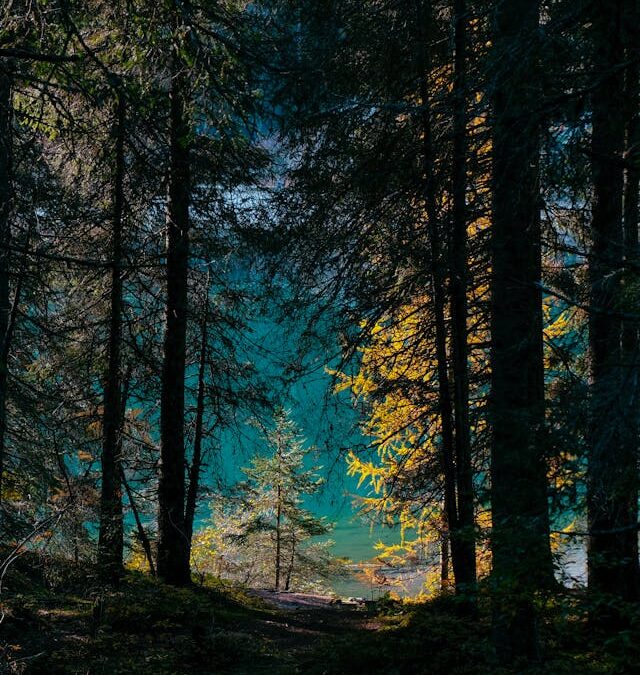 FirstPersonSingular: Don Coolman – Loss