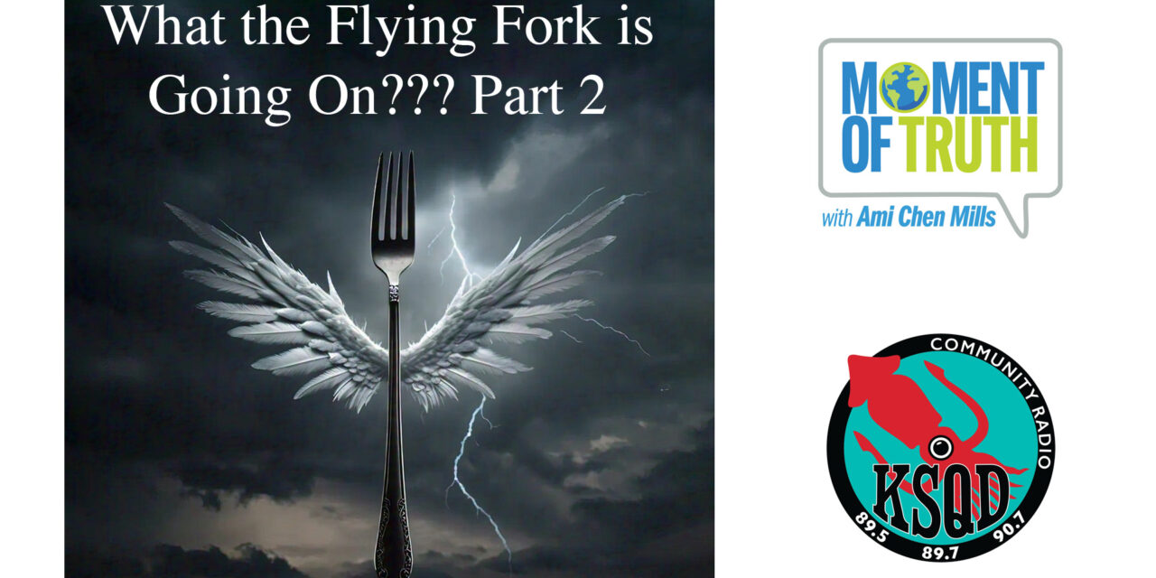 What the Flying Fork is Going On?? Part 2