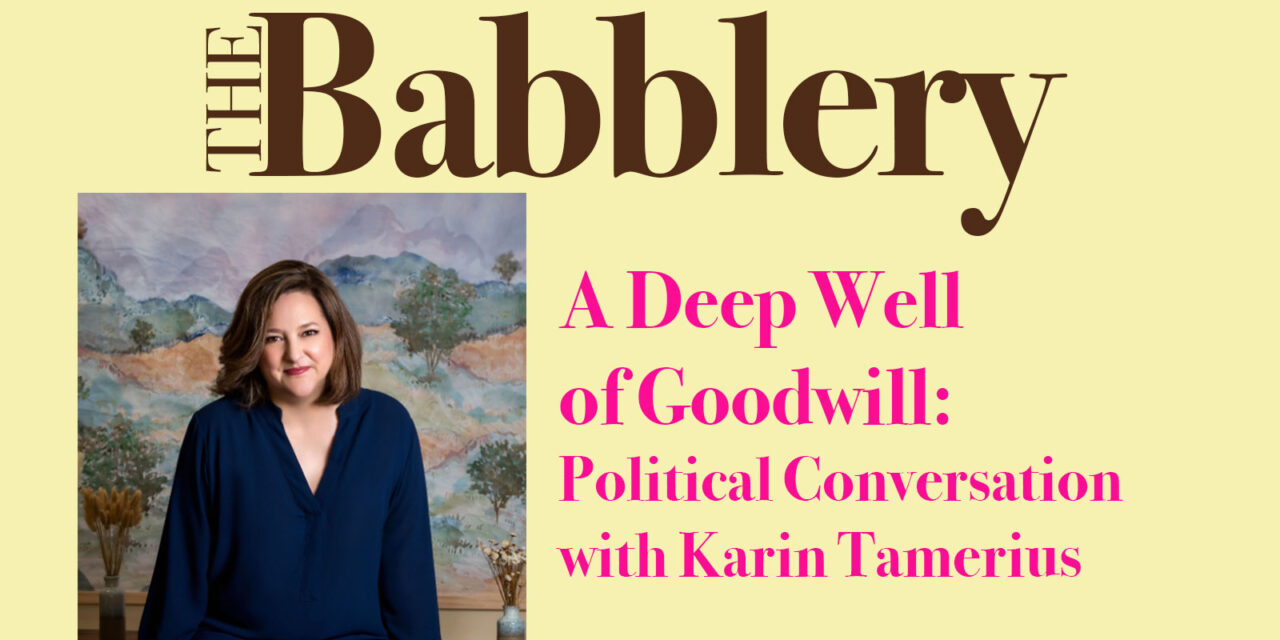 A Deep Well of Goodwill: Political Conversation with Karin Tamerius