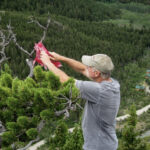 FirstPersonSingular: Alan Ritch - Jims Banner