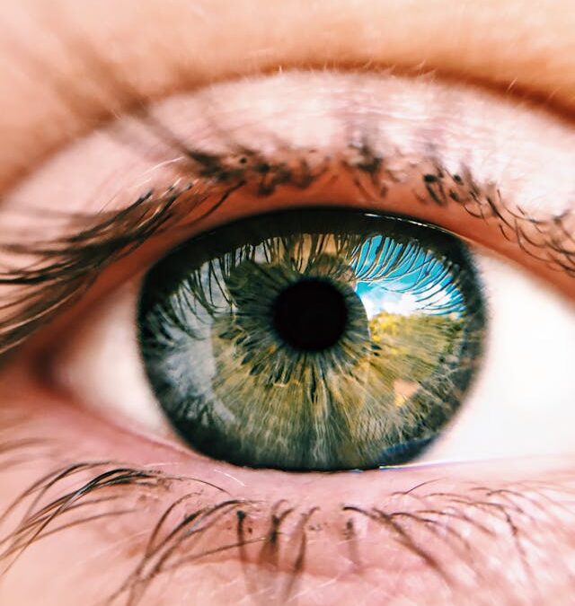 FirstPersonSingular: Peter St. John – Insight