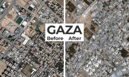 One year of the war on Gaza – where are we and what are we to do?