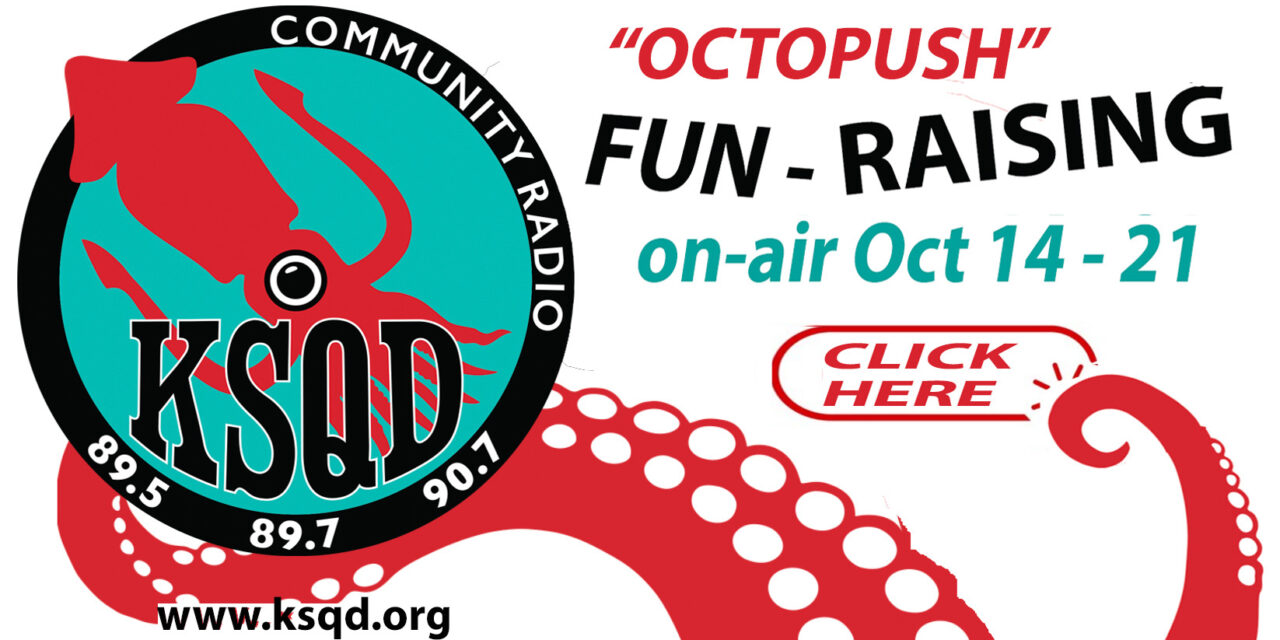 Octopush ! K-Squid’s October Pledge Drive is Here