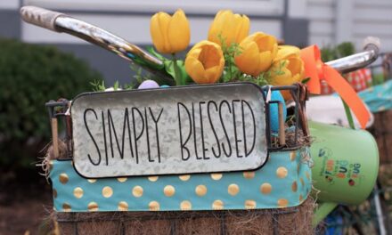 First Person Singular: Jeri Bodemar – Drive By Blessings