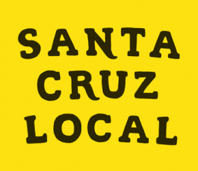 Santa Cruz Local Election Guide