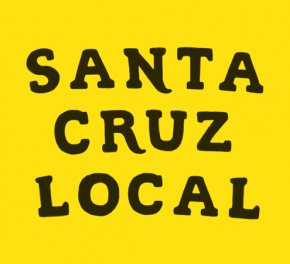 Santa Cruz Local Election Guide