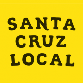 Image for display with article titled Santa Cruz Local Election Guide