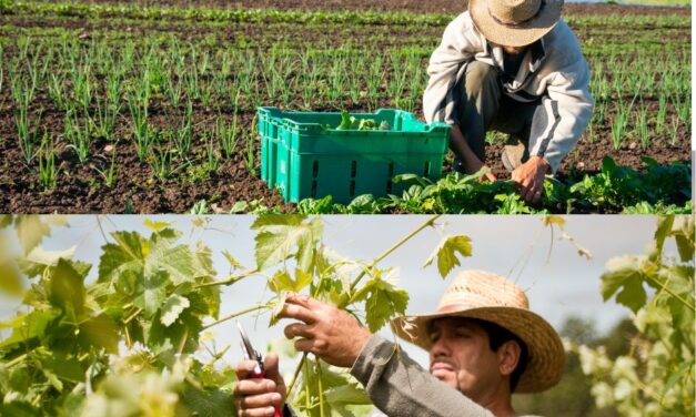 Pastures of Plenty: A History of California Farmworkers