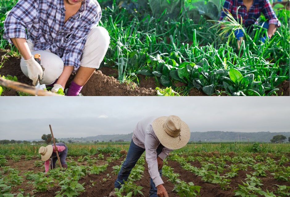 Local Farm Worker Advocates Respond to Deportation Threat