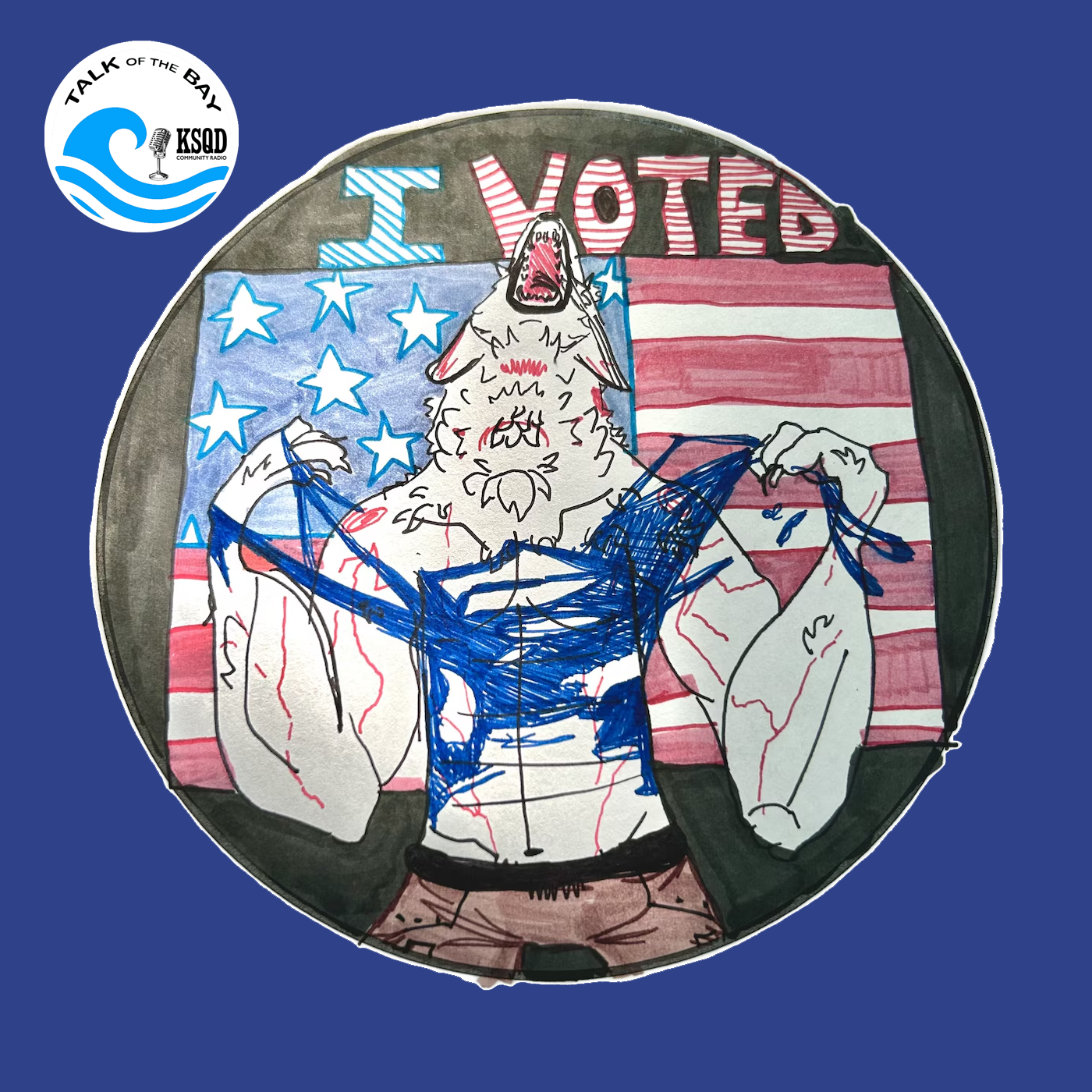 Everything you need to know about running a local election