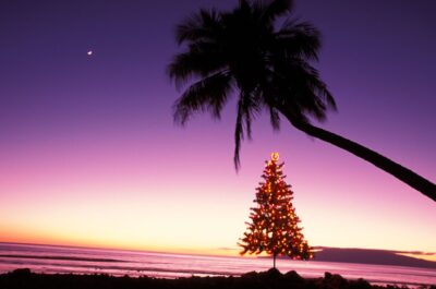 Timeless Hawaiian Christmas Music Wednesday 11 am-1 pm