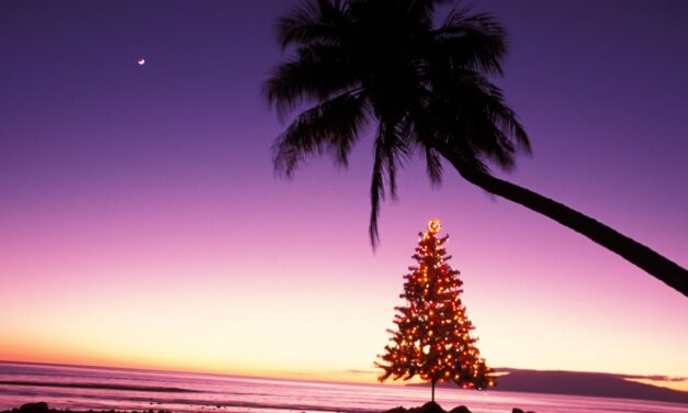 Timeless Hawaiian Christmas Music Wednesday 11 am-1 pm