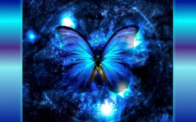 The Tower of Song Presents Its New Year’s Programming