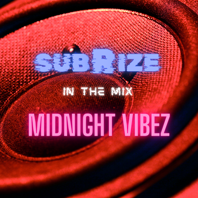 SubRize in the Mix--Midnight Vibez with DJ SubRize