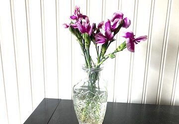 FirstPersonSingular: Laurie Corn – Texting