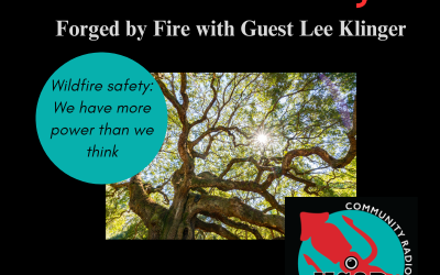 Forged by Fire with Lee Klinger: The power to mitigate wildfire risk can be in our hands