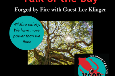 Forged by Fire with Lee Klinger: The power to mitigate wildfire risk can be in our hands