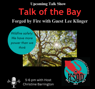 Forged by Fire with Lee Klinger: The power to mitigate wildfire risk can be in our hands