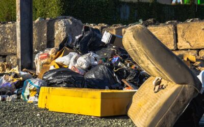 FirstPersonSingular: Sally Grey – Disposable Society