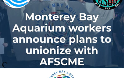 Meet the Workers Who are Unionizing the Monterey Bay Aquarium – Talk of the Bay