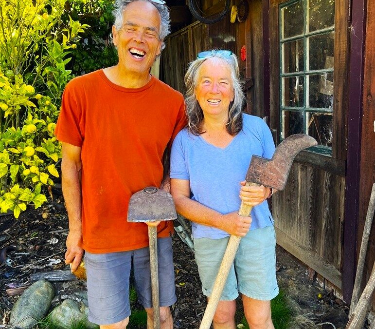 Grow Avocados on the Central Coast