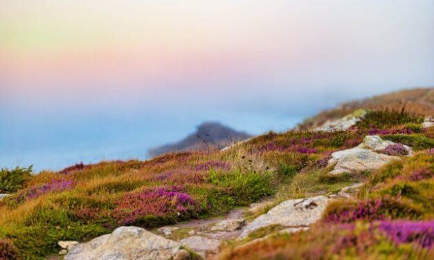 FirstPersonSingular: Sigrid McLaughlin – Two Erikas