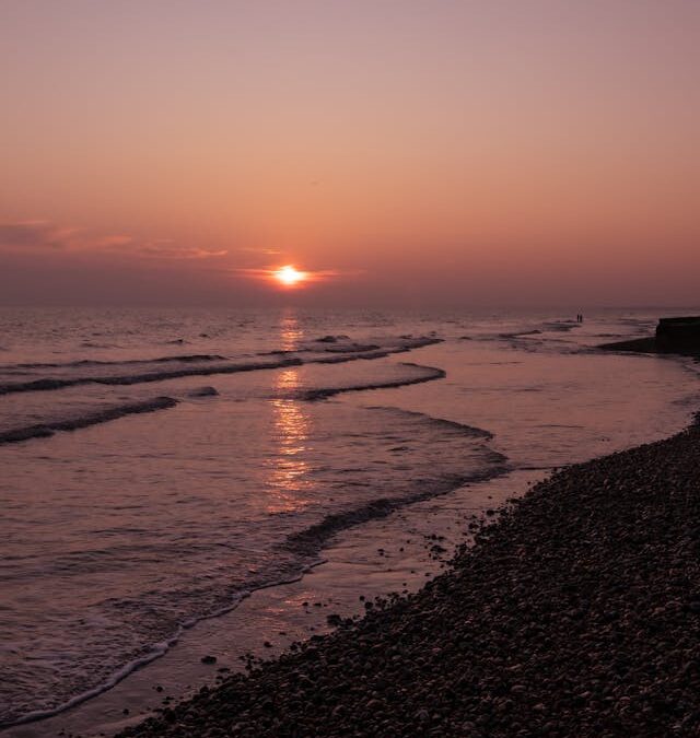 FirstPersonSingular: Shell Oceana – Love