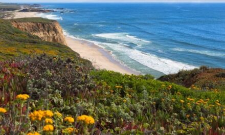 Threats to Coastal Conservation
