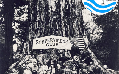 125 years of redwood conservation at Sempervirens Fund