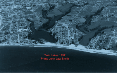 Linda Wilshusen – Why Live Oak Never Was Annexed and Other Stories