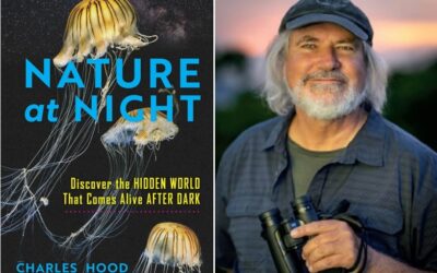 Charles Hood shares his wild discoveries in Nature at Night