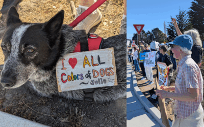 Minibabble: Making Good Trouble in Aptos