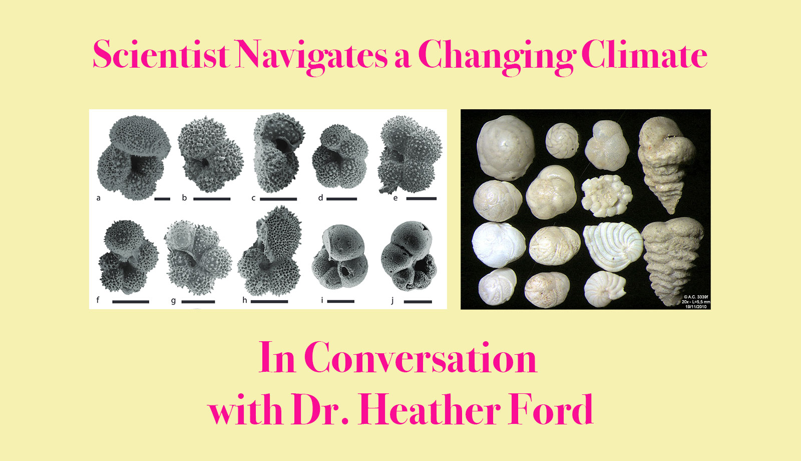 Scientist Navigates a Changing Climate: In Conversation with Dr. Heather Ford