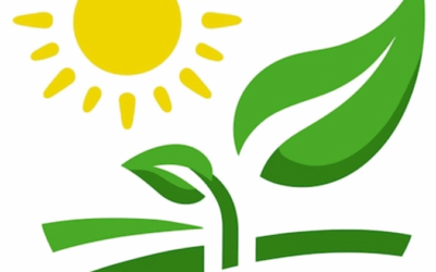 SUNDay – Pauline Seales and Roland Saher