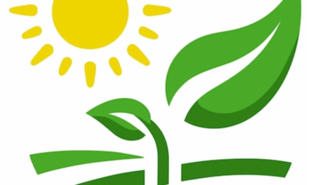 SUNDay – Pauline Seales and Roland Saher