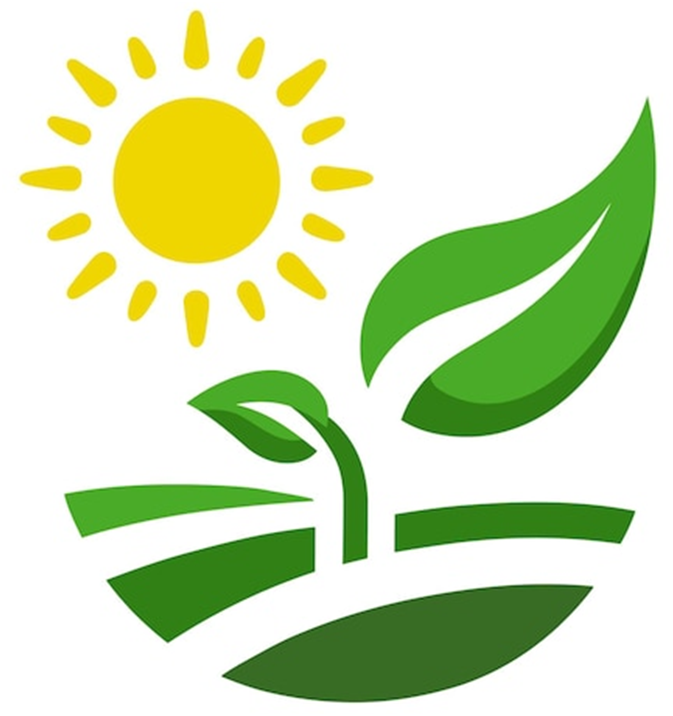 SUNDay – Pauline Seales and Roland Saher