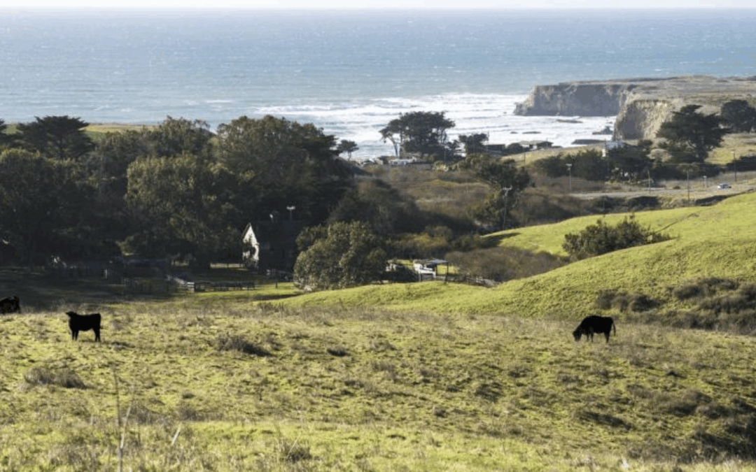 Nine miles of new trails open on August 16 at Cotoni-Coast Dairies