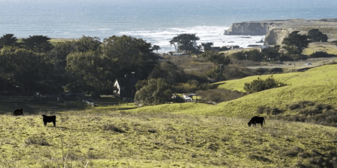 Nine miles of new trails open on August 16 at Cotoni-Coast Dairies