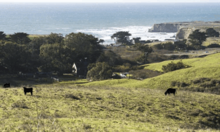 Nine miles of new trails open on August 16 at Cotoni-Coast Dairies