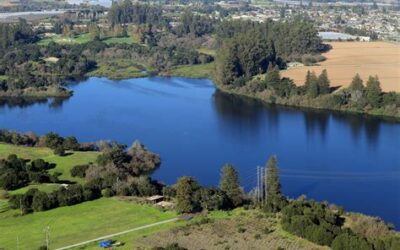 Community Wellness Day in Watsonville’s Pinto Lake August 16
