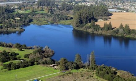Community Wellness Day in Watsonville’s Pinto Lake August 16