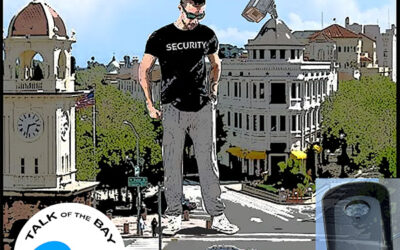 Get the Flock Out! Local Mass Surveillance and What to Do