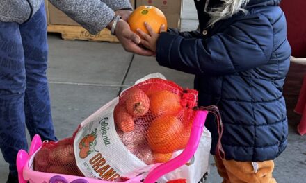 Food Banks Struggle Amidst SNAP Cuts