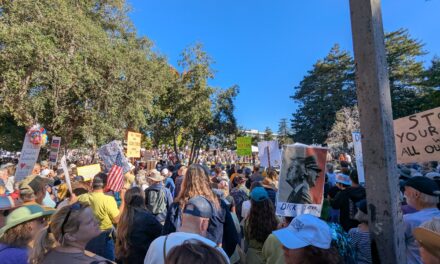 Doing Democracy in Santa Cruz at the No Kings Rally