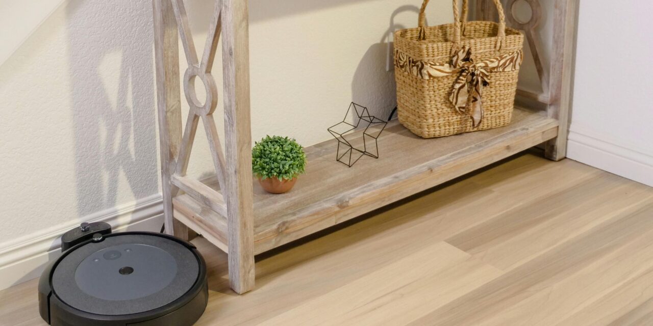 FirstPersonSingular: Karen Ehrlich – Robot Vacuum