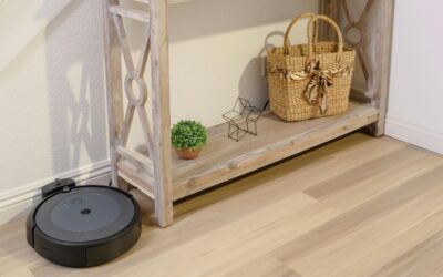 FirstPersonSingular: Karen Ehrlich – Robot Vacuum