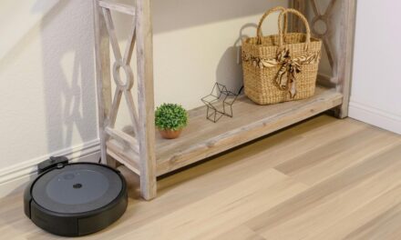 FirstPersonSingular: Karen Ehrlich – Robot Vacuum