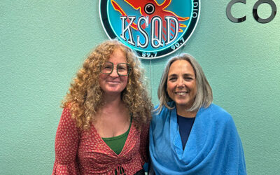 Local Author Molly Salans about her debut novel A Break In The Fog